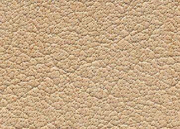 Nackenrolle für Transportsessel CarryLine Bild 2