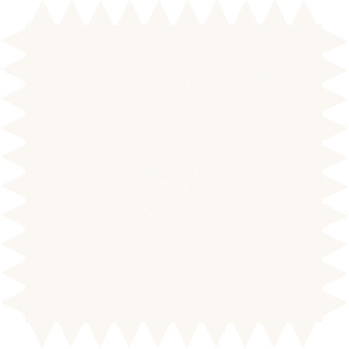 Zweiteilige Untersuchungsliege aus pulverbeschichtetem Stahlrahmen mit verstellbarem Kopfteil für Komfort.
␍ Bild 12