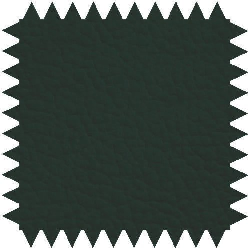 Zweiteilige Untersuchungsliege aus pulverbeschichtetem Stahlrahmen mit verstellbarem Kopfteil für Komfort.
␍ Bild 8