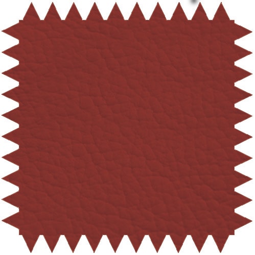 Zweiteilige Untersuchungsliege aus pulverbeschichtetem Stahlrahmen mit verstellbarem Kopfteil für Komfort.
␍ Bild 9