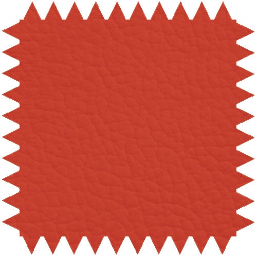 Zweiteilige Untersuchungsliege aus pulverbeschichtetem Stahlrahmen mit verstellbarem Kopfteil für Komfort.
␍ Bild 10