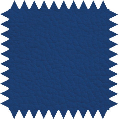 Zweiteilige Untersuchungsliege aus pulverbeschichtetem Stahlrahmen mit verstellbarem Kopfteil für Komfort.
␍ Bild 3