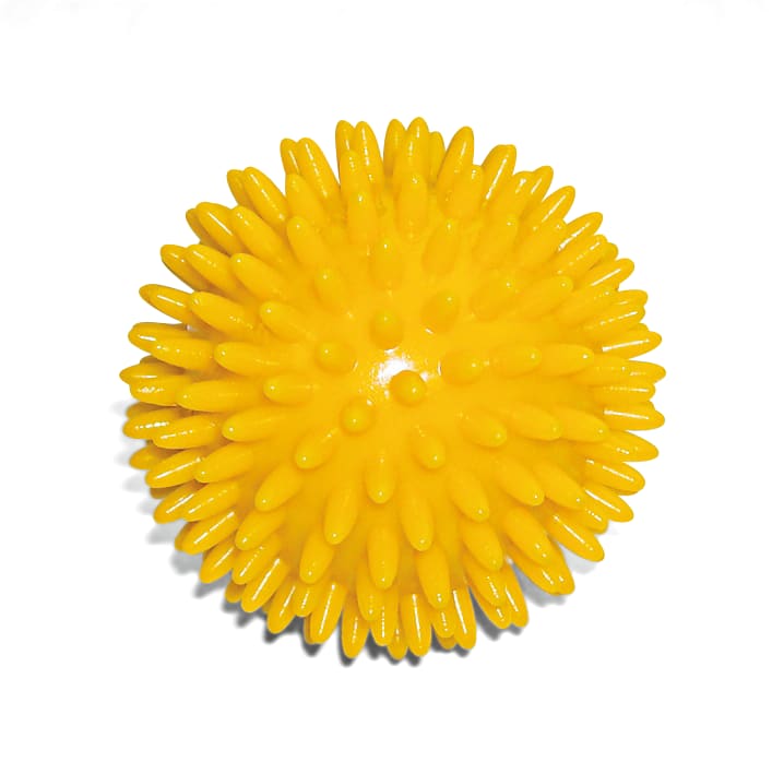 Igel-Massageball Bild 1