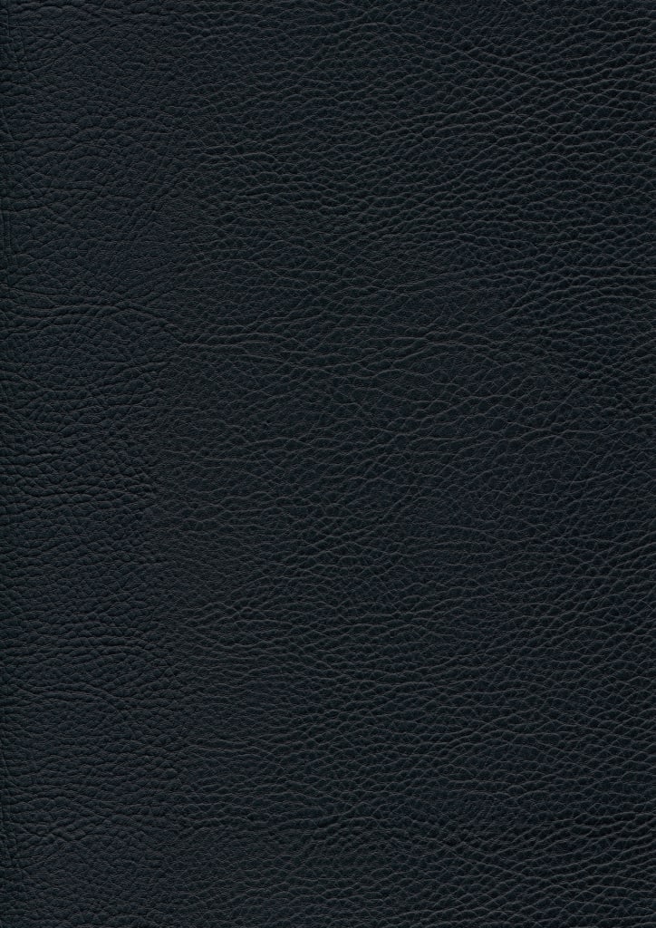 Sattelhocker schwarz Bild 3