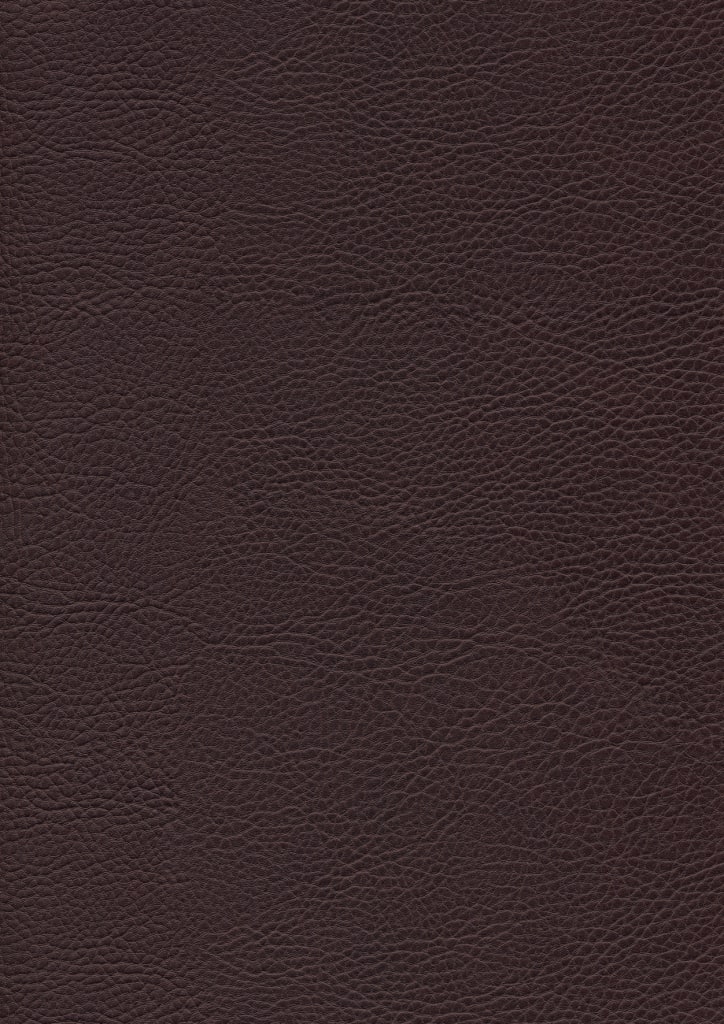 Sattelhocker schwarz Bild 2