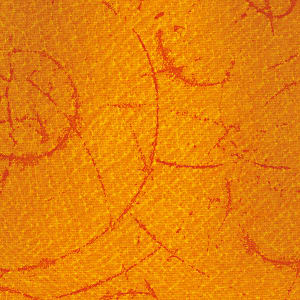 RCN Dusch-Toiletten-Rollstuhl SCC 250 Bild 3