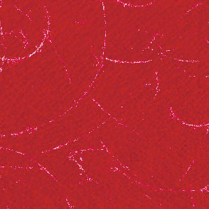 RCN Dusch-Toiletten-Rollstuhl SCC 250 Bild 2