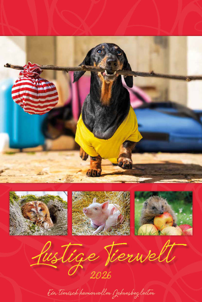 Bildkalender 2026, Lustige Tierwelt Bild 1
