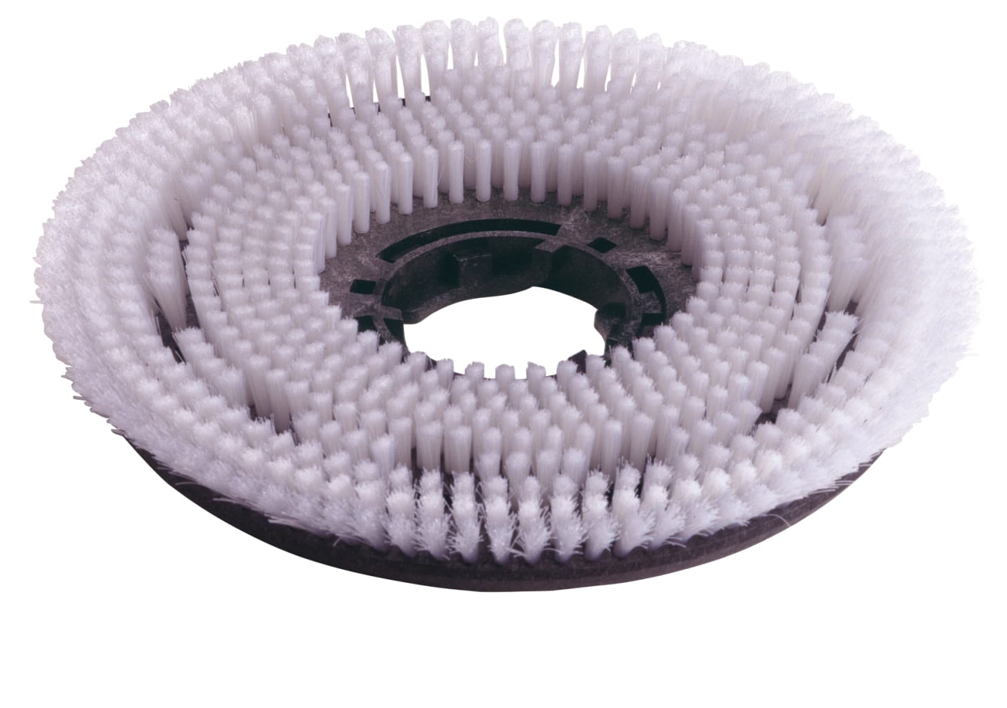 Numatic Nylon-Shampoonierbürste, 450 mm Bild 1