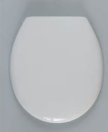 Ovaler WC-Sitz