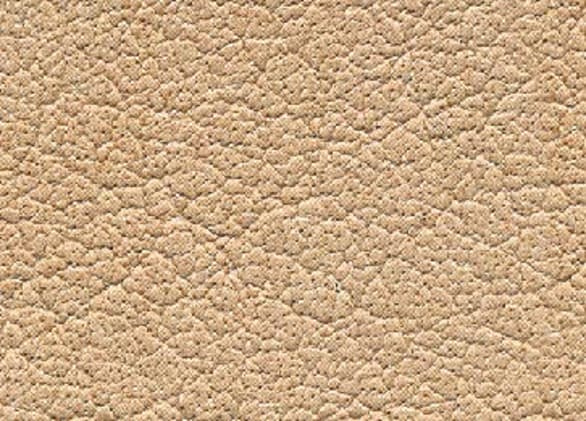 Nackenrolle für Transportsessel CarryLine Bild 2