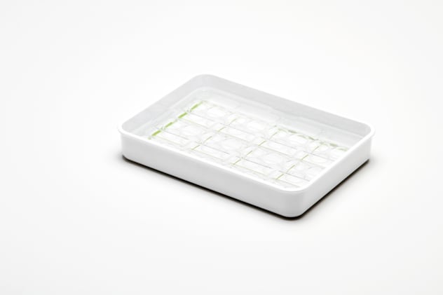 melipul Medikamententabletts Bild 1