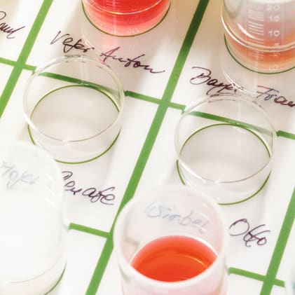 melipul Tabletteinsätze Bild 2