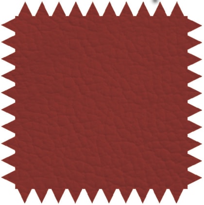 Zweiteilige Untersuchungsliege aus pulverbeschichtetem Stahlrahmen mit verstellbarem Kopfteil für Komfort.
␍ Bild 9