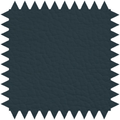 Zweiteilige Untersuchungsliege aus pulverbeschichtetem Stahlrahmen mit verstellbarem Kopfteil für Komfort.
␍ Bild 11