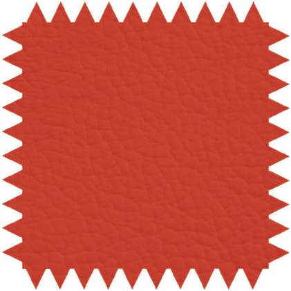 Zweiteilige Untersuchungsliege aus pulverbeschichtetem Stahlrahmen mit verstellbarem Kopfteil für Komfort.
␍ Bild 10