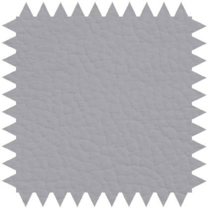 Zweiteilige Untersuchungsliege aus pulverbeschichtetem Stahlrahmen mit verstellbarem Kopfteil für Komfort.
␍ Bild 5