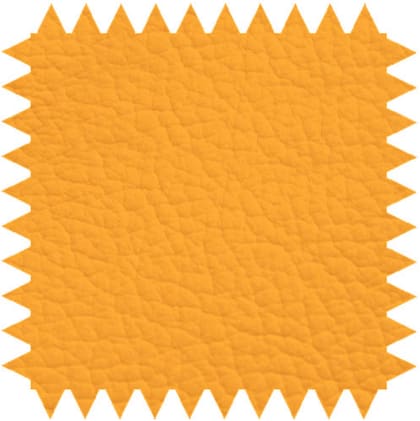 Zweiteilige Untersuchungsliege aus pulverbeschichtetem Stahlrahmen mit verstellbarem Kopfteil für Komfort.
␍ Bild 4