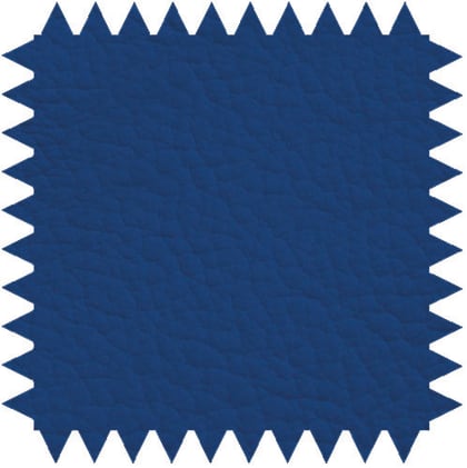 Zweiteilige Untersuchungsliege aus pulverbeschichtetem Stahlrahmen mit verstellbarem Kopfteil für Komfort.
␍ Bild 3