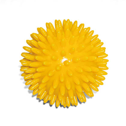 Igel-Massageball Bild 1