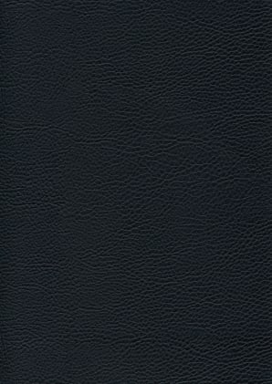 Sattelhocker schwarz Bild 3