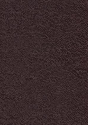 Sattelhocker schwarz Bild 2