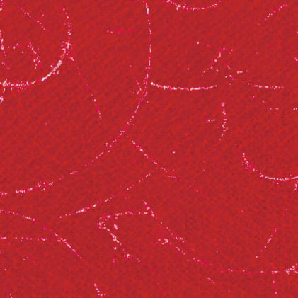 RCN Dusch-Toiletten-Rollstuhl SCC 250 Bild 2