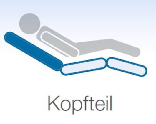 Einsatz RL für Pflegebett Stiegelmeyer Bild 1