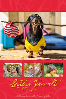 Bildkalender 2026, Lustige Tierwelt Bild 1