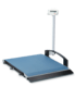 WiBUplus seca Rollstuhlwaage 667 Bild 1