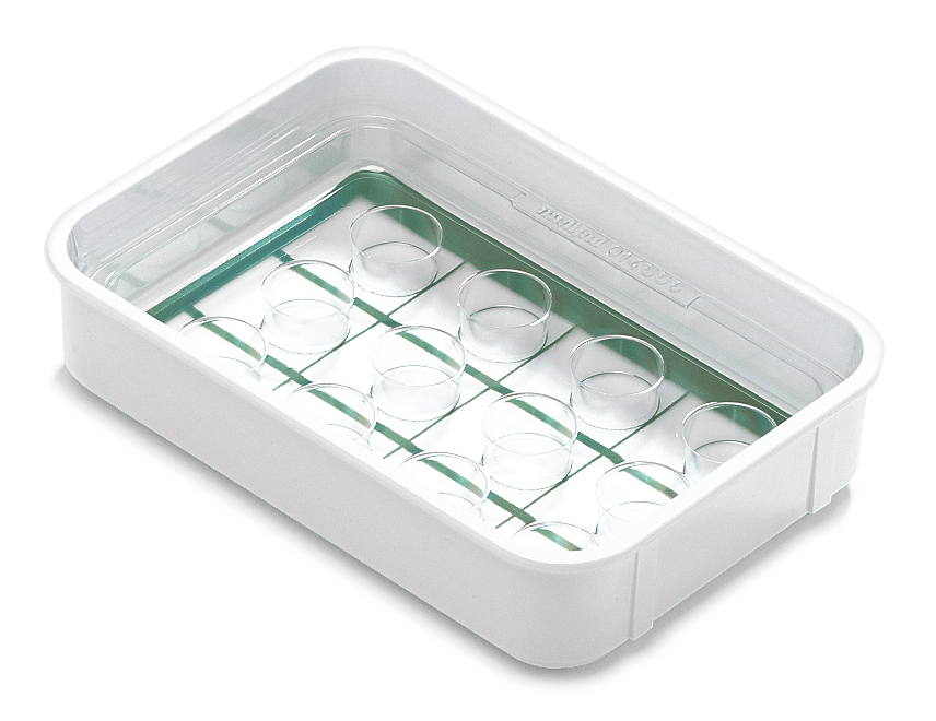 melipul Bechertabletts ungefüllt