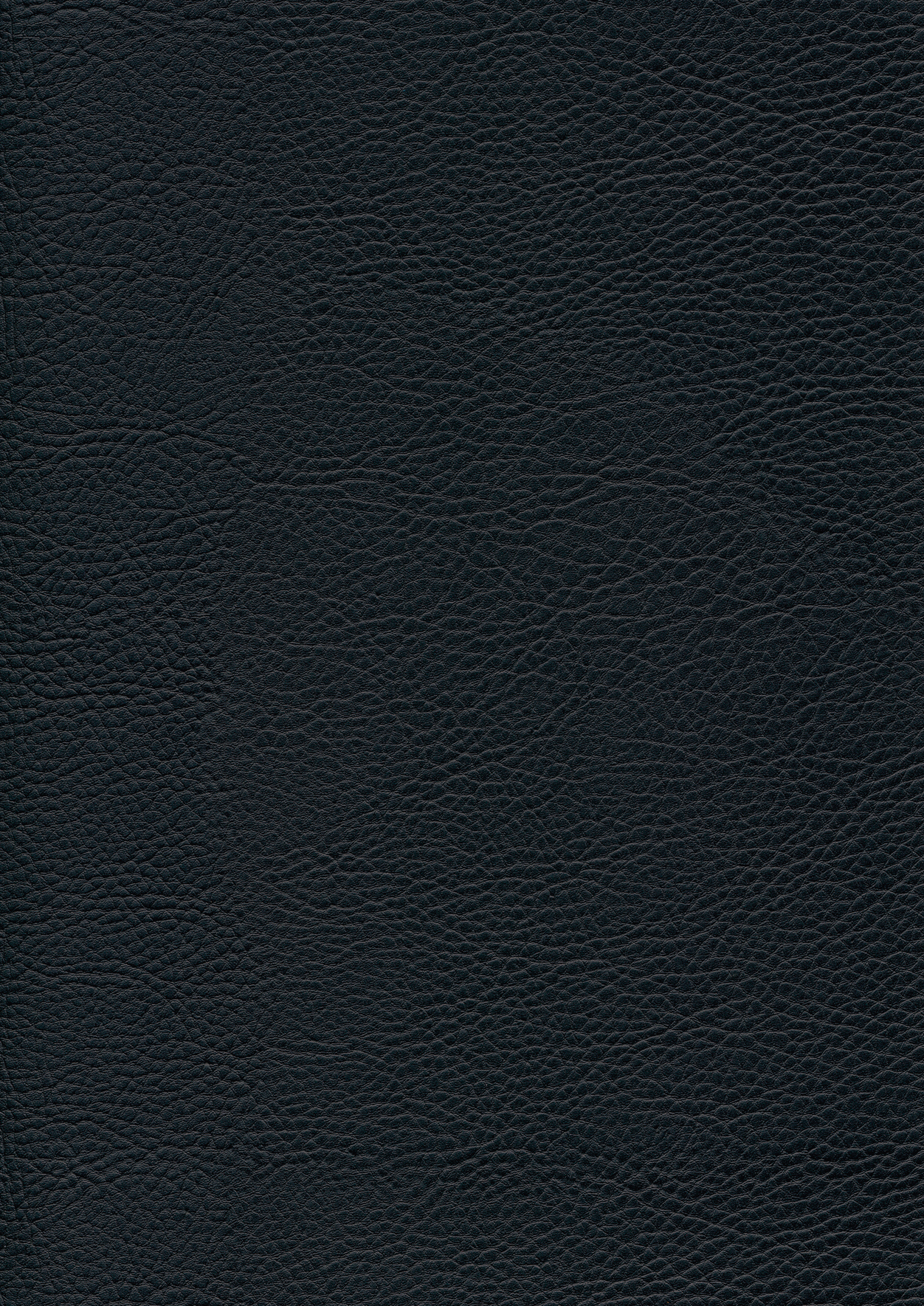 Sattelhocker schwarz