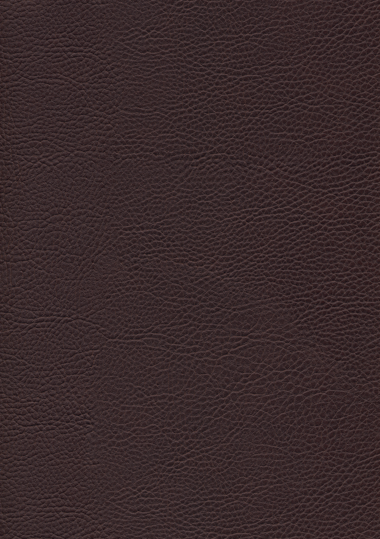 Sattelhocker schwarz