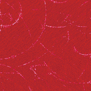 RCN Dusch-Toiletten-Rollstuhl SCC 250