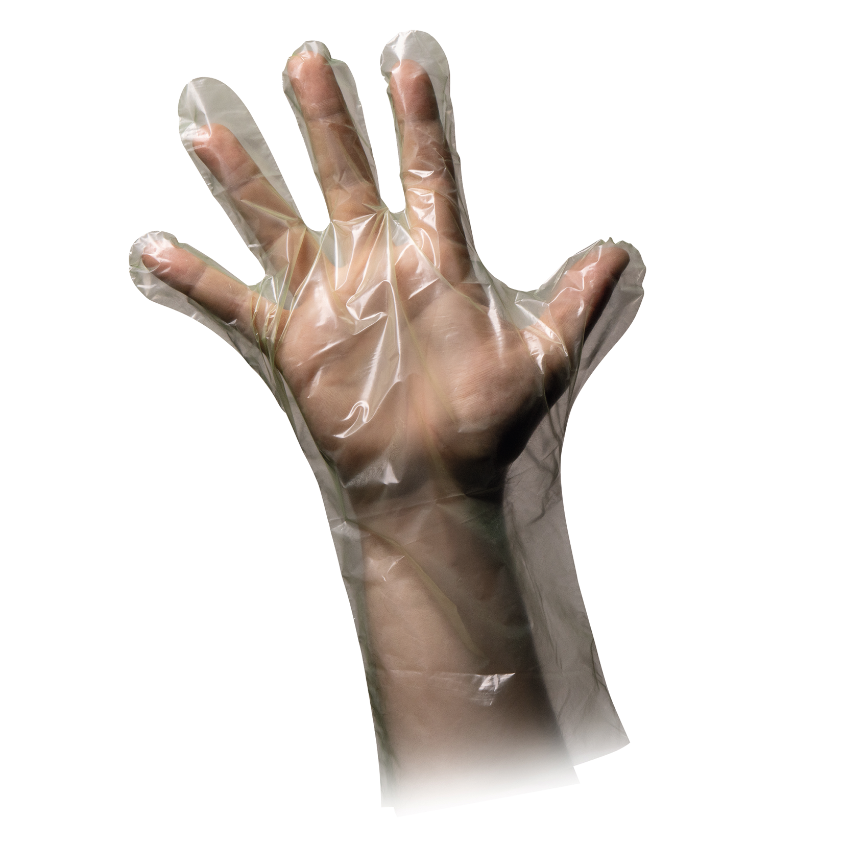 PE-Einmal-Handschuhe (100er-Pack)