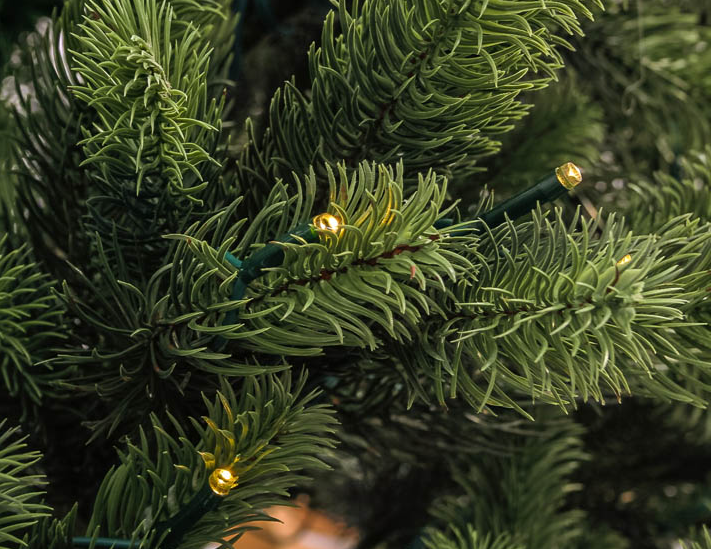 Weihnachtsbaum