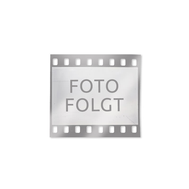 Bildkalender 2027, Tierisch Cool! Bild 1