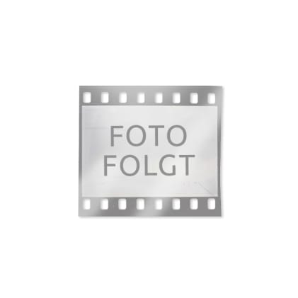 Bildkalender 2027, Tierisch Cool! Bild 1